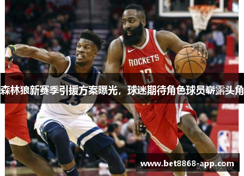森林狼新赛季引援方案曝光，球迷期待角色球员崭露头角